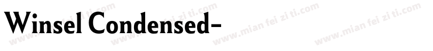 Winsel Condensed字体转换